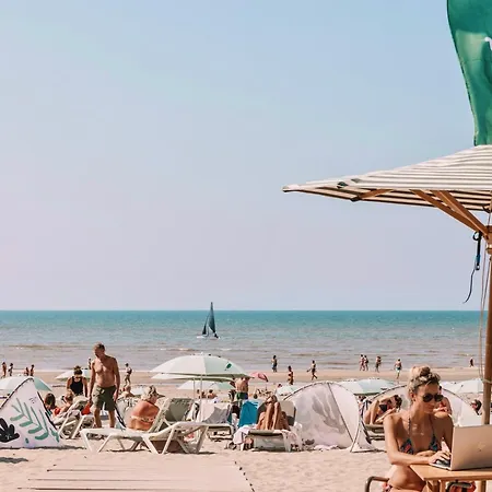 Beach&dunes * Zandvoort