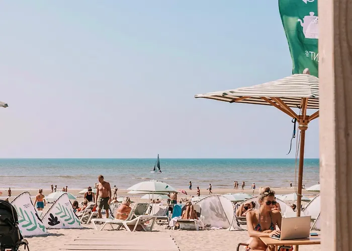 And Dunes * Zandvoort